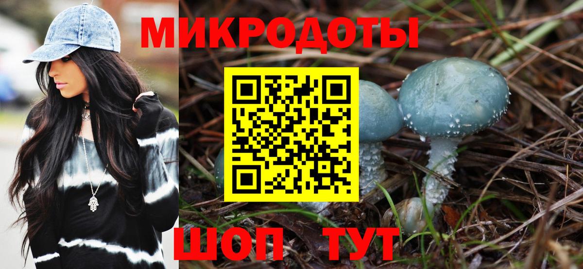 Ростов-на-Дону  Псилоцибиновые грибы Psilocybe  Вход с VPN 