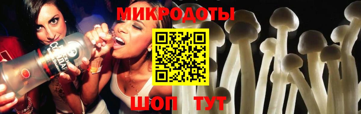 Псилоцибиновые грибы мицелий Ростов-на-Дону